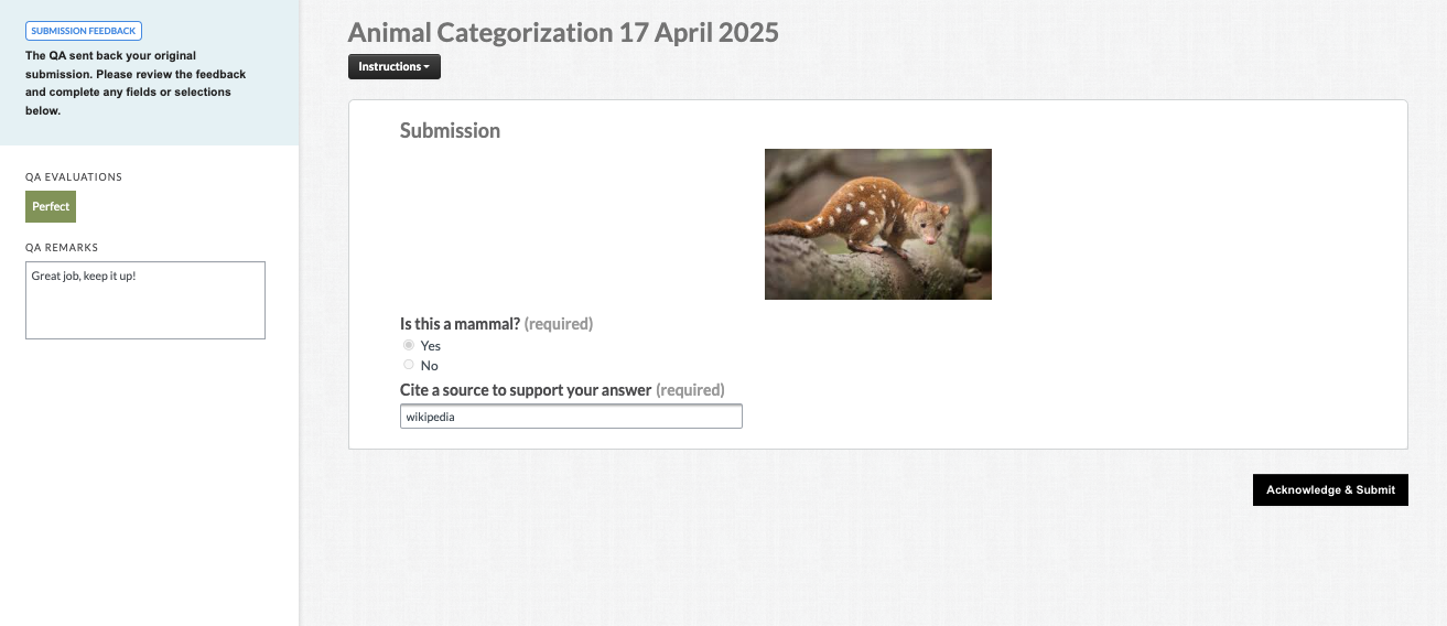 image-20260623-064144.png
